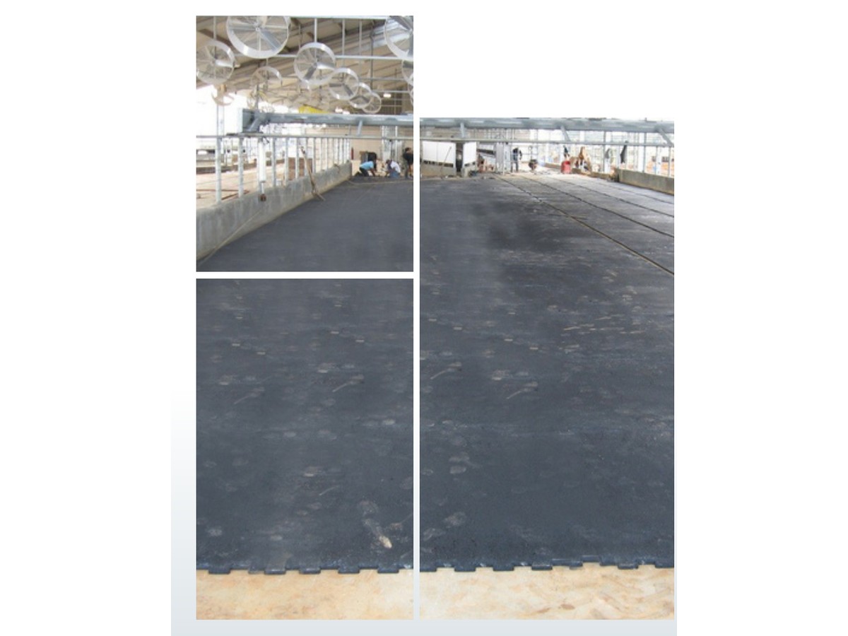 Alley & Passage Mat